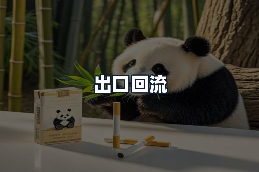 出口回流